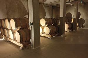 Nouvelles caves2