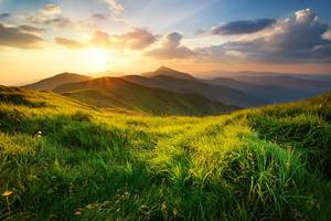 istockphoto-591441250-612x612