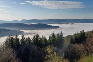 Gite-de-groupe-alsace-vosges-champ-du-feu-automne