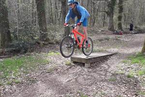 57294218_388496258369001_6571491746054668288_n