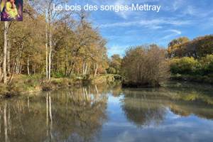 Etang a` l'automne