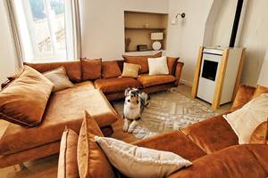 Le salon, les chiens sont bienvenus