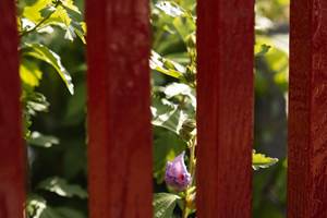 Les_sources_gite_de_charme_Objat_correze_piscine_x_Nastasia_Papiez-346