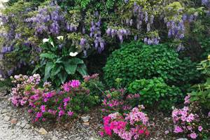 massif jardin chambre d'hôtes la blanche hermine maison d'hôtes bien être spa morbihan bretagne séjour détente repos ressourcement anti stress burn out cure ayurvédique retraite relaxation méditation