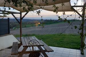 Terrasse Le  Tournesol
