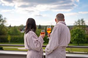 gites-luxe-alsace-nord-karlsmuhle-espace-bien-etre-piscine-sauna-spa-51