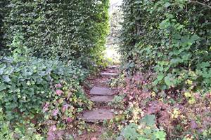 Le jardin et ses recoins