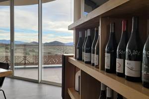 domainelatoupie-chambredhote-roussillon-oenotourisme