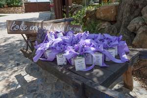 Verres de vin sur une table en bois lors d’une visite œnotouristique près de Béziers