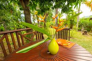 TERRASSE DE L' ALAMANDA DONNANT SUR LE JARDIN