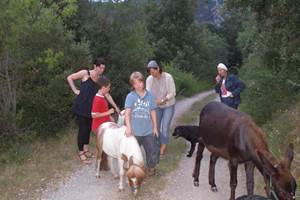 Balade familiale aux poneys