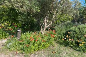 jardin2
