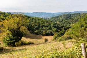 Gîte n°19G5472 "Aumont & Merveilles" – ARGENTAT SUR DORDOGNE