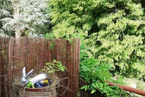 vue du balcon sur jardin
