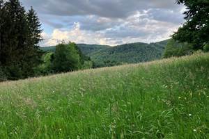 Gite-de-groupe-alsace-vosges-chalet-prairie