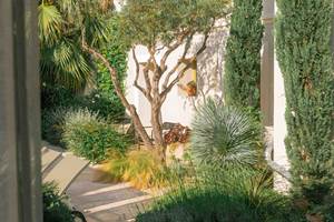 3 BD le jardin luxuriant de Marcelle en Camargue