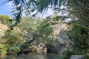IMG_20210808_170712