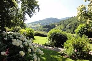 vue sur les Vosges