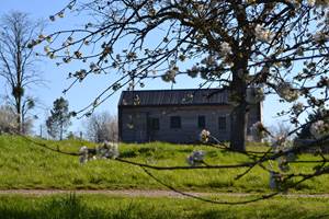 Cabane du Renard, vue du parc
