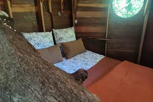 Cabane dans les arbres