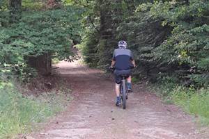 VTT en forêt