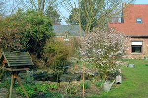 le jardin en fin d'hiver