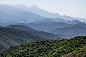 corsican-3712544_1920