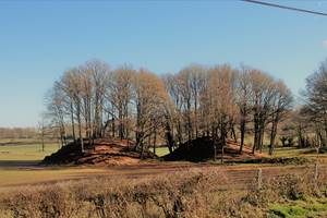 Les Mottes Castrales de l'An Mil en face du Domaine de Louveraude