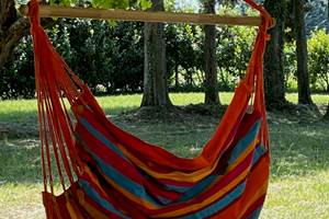 DETENTE DANS LE PARC
