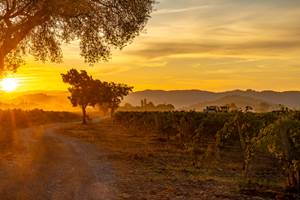 Domaine des Perirecedes BD-0041