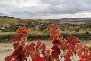 IMG_20201007_172101-min