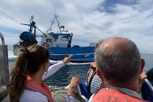 IMG_0263-Retour  chalutiers avec Juliette