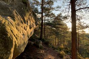 Fontainebleau boulder forest Gorge aux chats