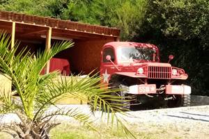 IMG_20210729_112638