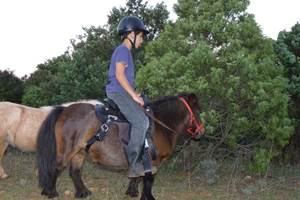 Balade poney