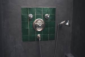 Maison-Vitis-L'Enclos-de-Fuisse´-douche