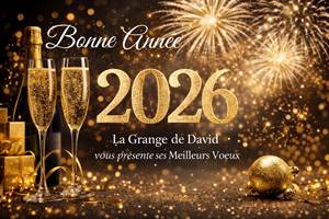 Voeux 2026