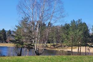 Gîte n°19G4263 "Les Myrtilles" – SORNAC
