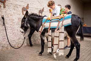 Baudet_d_Ane_Portes_Ouvertes (44)