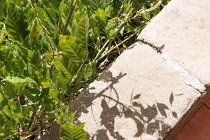 Les_sources_gite_de_charme_Objat_correze_piscine_x_Nastasia_Papiez-168