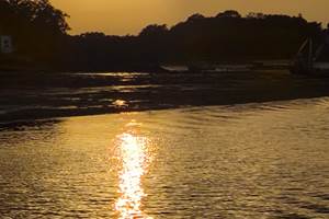 IMG-20240817-WA0038
