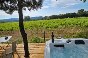 Alombredelacheneraie_vignoble_apero