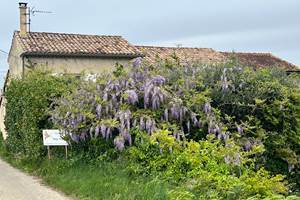 Le Mas Mellou / Chambre Mont Serein