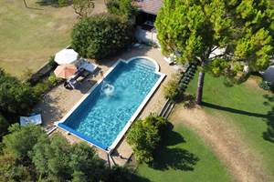 La piscine au mileu de la végétation