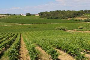 portfolio-paysage-02