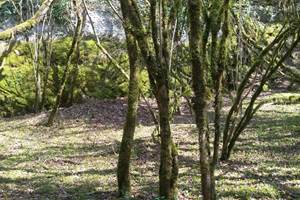 IMG-20231130-WA0031