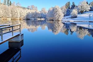 Hiver sur l'étang de la Garenne