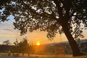 83d9b0ea-a8d2-4153-b845-7d0711e04286