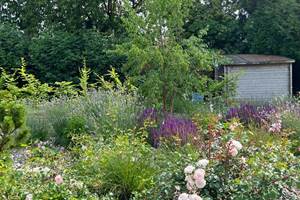 detail du jardin