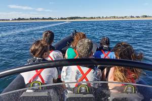 Croisière semi-rigide